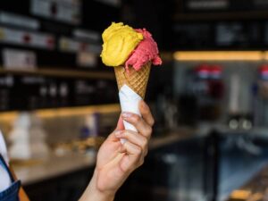 The Village The Village Top 6 Sydney ice cream stores to check out this summer